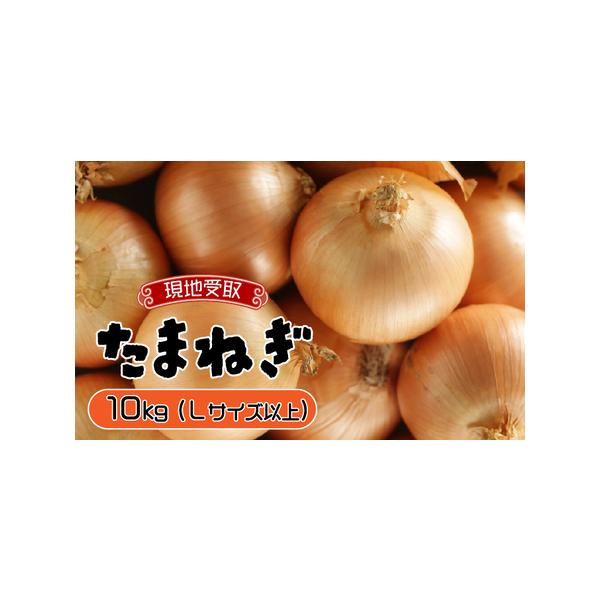 ■ 容量　たまねぎLサイズ以上 10kg■ 配送について　ご入金確認後、14日以内に出荷いたします。　タイプ：【冷蔵】