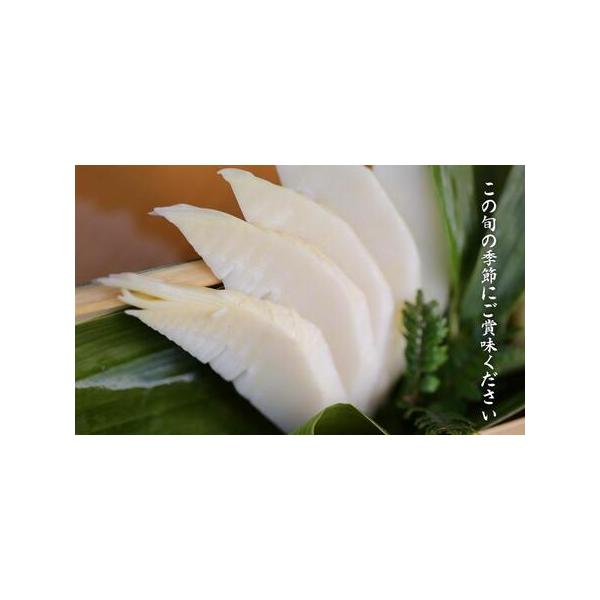 ■ 容量　1KG(3-5本)　【賞味期限】　出荷日から7日間　【アレルギー】　たけのこ　※ 表示内容に関しては各事業者の指定に基づき掲載しており、一切の内容を保証するものではございません。　※ご不明の点がございましたら事業者まで直接お問い合...