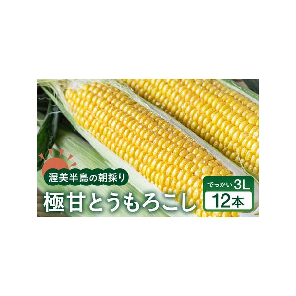 ■ 容量　とうもろこし 3L 12本入り■ 配送について　6月中旬〜6月初下旬に発送予定　※生育状況により遅延する可能性がございます。ご了承ください。　※沖縄、離島など一部、配送不可のエリアがございます。※　タイプ：【冷蔵】