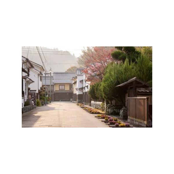 ■ 容量　送迎タクシー代（往復）・ガイド料・臥龍山荘入館料・昼食代