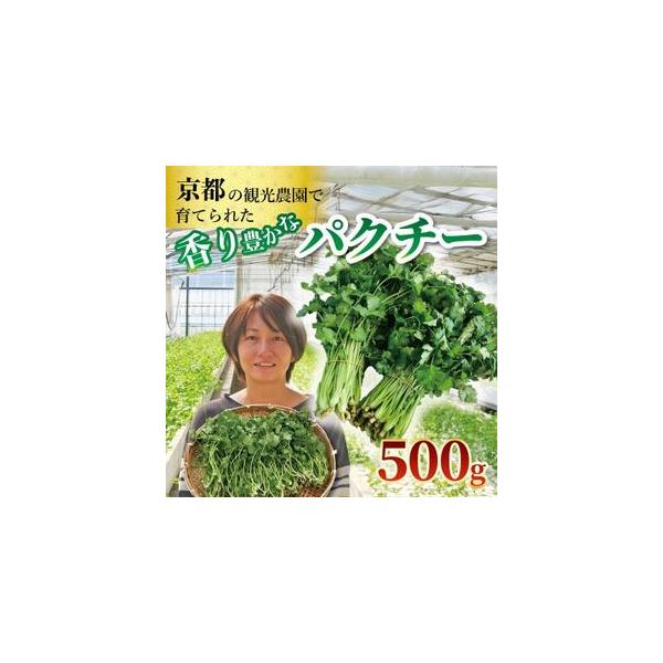 ■ 容量　※上記に記載■ 配送について　〜2026-04-15　タイプ：【常温】