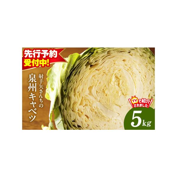 ■ 容量　泉州キャベツ 5kg（2〜5玉）　※画像はイメージです。■ 配送について　2026年1月〜3月の期間で寄附受付順に発送予定　タイプ：【常温】