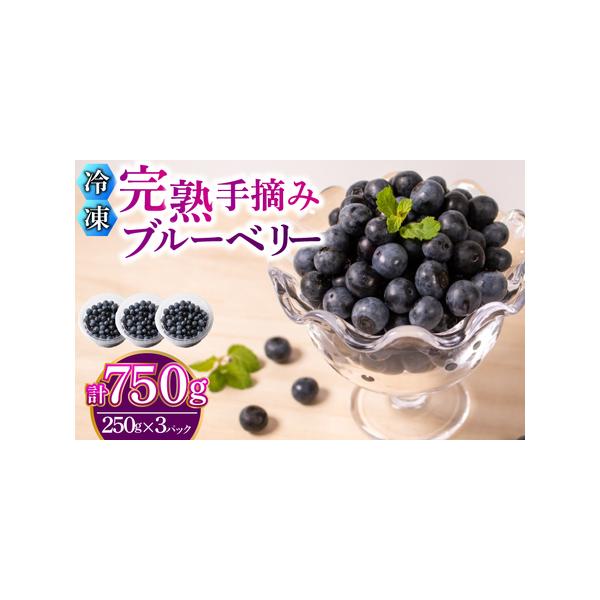 ■ 容量　冷凍ブルーベリー 約750g(250g×3パック)■ 配送について　【2026年7月より順次発送】いたします。　着日指定は対応いたしかねます。不在日時等ございましたら備考欄にお知らせください。　タイプ：【冷凍】