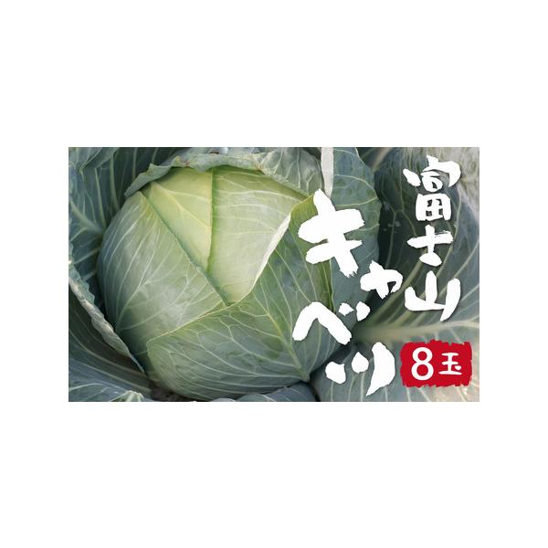 ■ 容量　キャベツ 1箱 8玉 9kg■ 配送について　2026年7月中旬?順次発送いたします。　タイプ：【冷蔵】