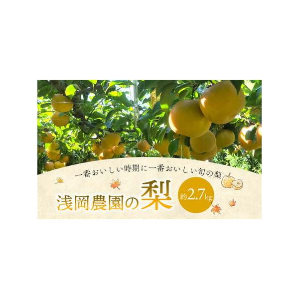 ■ 容量　浅岡農園の梨　約2.7kg■ 配送について　2026年9月上旬より11月上旬まで順次発送予定　タイプ：【冷蔵】