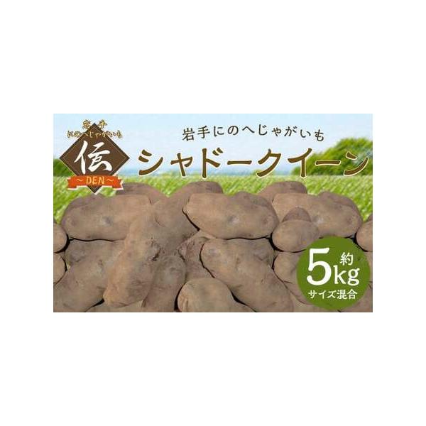 ■ 容量　5kg（サイズ混合）　※化粧箱入り■ 配送について　2025年9月中旬から2026年2月下旬発送予定　タイプ：【常温】