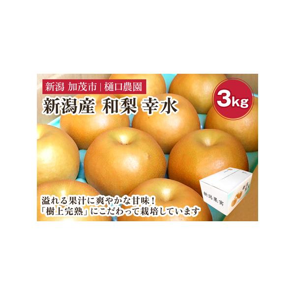 ■ 容量　3kg　玉数の目安：6?9玉■ 配送について　【申込期日】2026年8月15日まで 　【発送時期】2026年8月15日?2026年8月25日　　※年末年始・ゴールデンウィーク・お盆期間などの長期休暇中は、お届けまでにお時間がかかる...