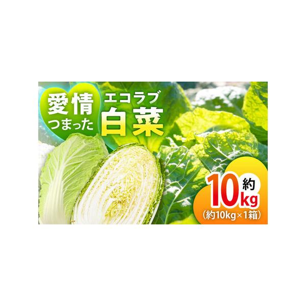 ■ 容量　エコラブ白菜　約10kg（3Lサイズ4玉?2Lサイズ5玉　約10kg×1箱）■ 配送について　※返品・返金・再送はお受けできません　タイプ：【常温】