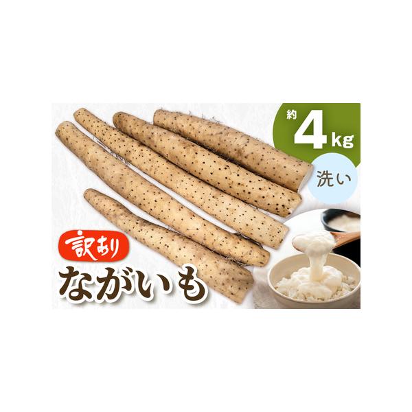 ■ 容量　■内容量：洗い長いも 約4kg　　■消費期限：発送から1週間　　■アレルギー品目：やまいも■ 配送について　入金確認後、2週間から3週間程度で発送　　※離島への発送はできません。　　※誠に恐れ入りますが、お届け日の指定はできません...