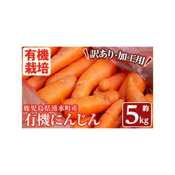 ■ 容量　≪訳あり≫湧水町産有機にんじん(1箱)　・約5kg　※訳あり品になります。割れや傷みの他、根や芽があるものも混じることがございます。ご理解の上、ご寄附をお願いいたします。■ 配送について　入金確認後、1ヶ月以内の発送　※配送日時の...