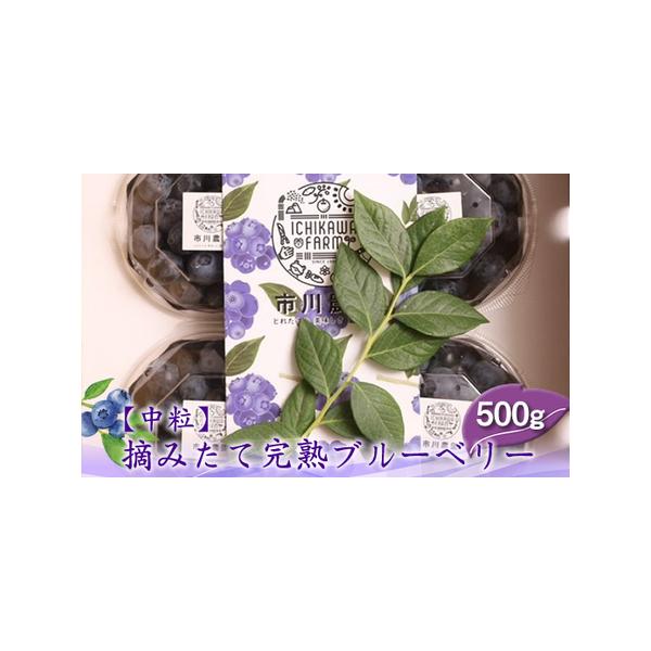 ■ 容量　125g×4パック■ 配送について　出荷時期は【返礼品名】に記載　　返礼品到着後レビューご記入をお願い致します。　　・寄附申込みのキャンセル、返礼品の変更、返礼品の納期指定、のし対応・返品や返金はできかねます。　・商品到着後、中身...