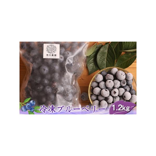 ■ 容量　600g×2パック■ 配送について　出荷時期は【返礼品名】に記載　　返礼品到着後レビューご記入をお願い致します。　　・寄附申込みのキャンセル、返礼品の変更、返礼品の納期指定、のし対応・返品や返金はできかねます。　・商品到着後、中身...