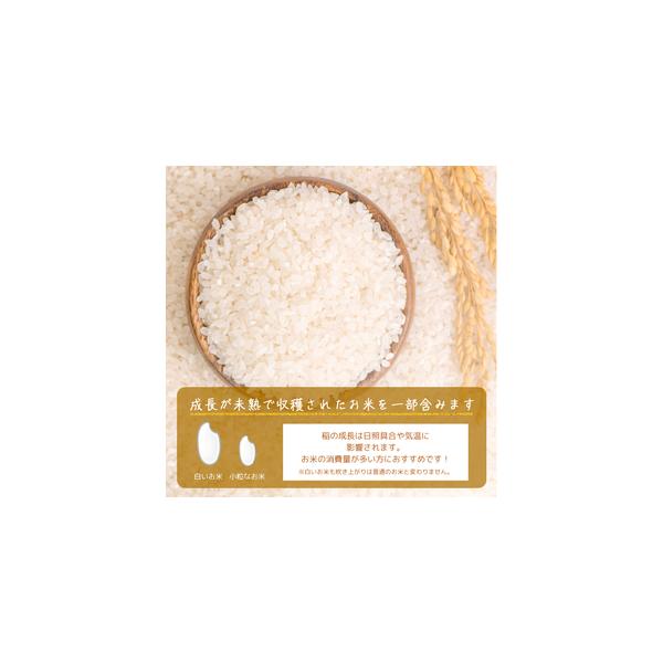 furunavi_1474727_4_d_20260330184417