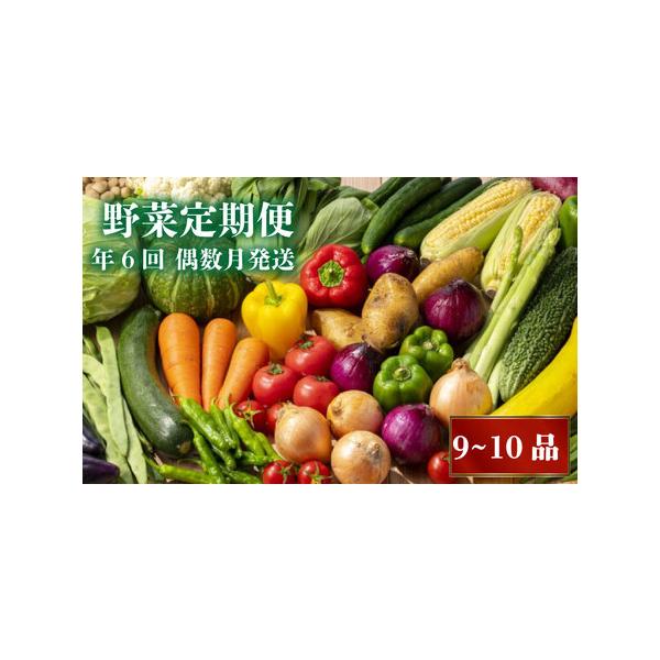■ 容量　季節のお野菜(食べきり)：9?10品 年6回■ 配送について　1年間に6回(2026年2月、4月、6月、8月、10月、12月)お届けします。　　【配送希望について】　2月、3月は天候の関係により、ご指定日にお届けできないこともある...
