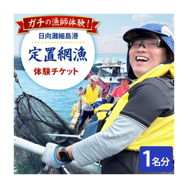 ふるさと納税 体験 日向灘細島港 定置網漁 体験チケット 1名分 宮崎県日向市