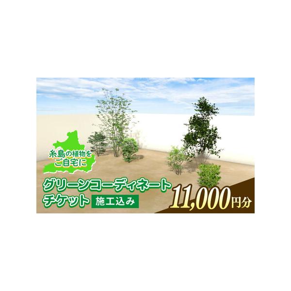 ■ 容量　高さ30cmから高さ2ｍまでの複数の植物の組み合わせ。　※選択される植物の種類によって異なります。　【加工地】　福岡県糸島市　■ 配送について　ご入金後1ヶ月以内にチケットを発送いたします。　タイプ：【常温】