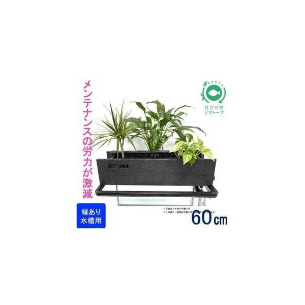 ■ 容量　■内容　A：観葉植物植え付けろ過装置（縁あり水槽用）　1個　B：循環ポンプ　1個　　＜サイズ＞　A：幅60cm、奥行15cm、高さ15cm■ 配送について　出荷準備でき次第、順次発送（お申込後およそ1か月以内に発送、注文が集中する...