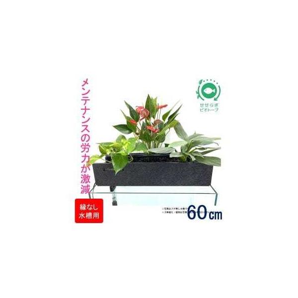 ■ 容量　■内容　A：観葉植物植え付けろ過装置（縁なし水槽用）　1個　B：循環ポンプ　1個　　＜サイズ＞　A：幅60cm、奥行15cm、高さ15cm■ 配送について　出荷準備でき次第、順次発送（お申込後およそ1か月以内に発送、注文が集中する...