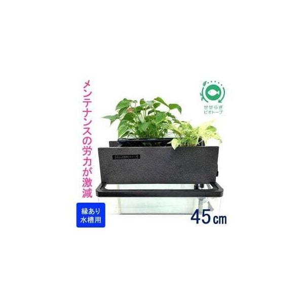 ■ 容量　■内容　A：植物植付済ろ過装置（縁あり水槽用）　1個　B：循環ポンプ　1個　　＜サイズ＞　A：幅45cm、奥行15cm、高さ15cm■ 配送について　出荷準備でき次第、順次発送（お申込後およそ1か月以内に発送、注文が集中する場合は...