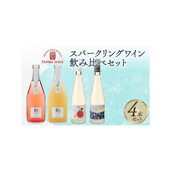 ふるさと納税 丹波ワイン スパークリングワイン 飲み比べ 4本セット