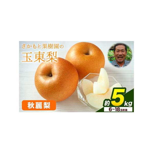 ■ 容量　【秋麗梨】 約5kg(6-18玉前後)■ 配送について　8月中旬-8月下旬頃出荷　タイプ：【冷蔵】