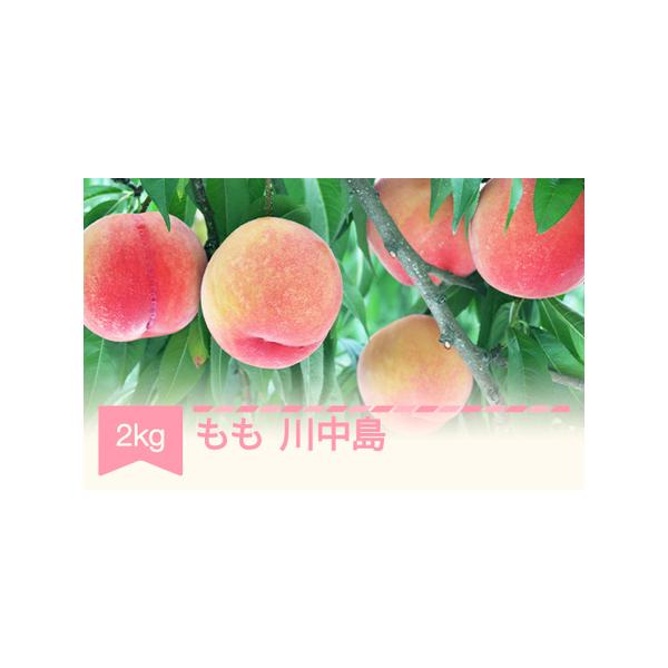 ■ 容量　○秀以上 約2kg(約6?8玉)■ 配送について　8月中旬~9月上旬頃順次発送　※生育の状況により多少前後することがあります。　タイプ：【冷蔵】