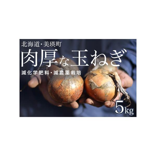 ■ 容量　美瑛産玉ねぎ：5kg　(品種：きたもみじ2000・オホーツク222)■ 配送について　令和8年9月より順次発送いたします。　※天候によっては発送期日が前後する場合があります。　タイプ：【常温】