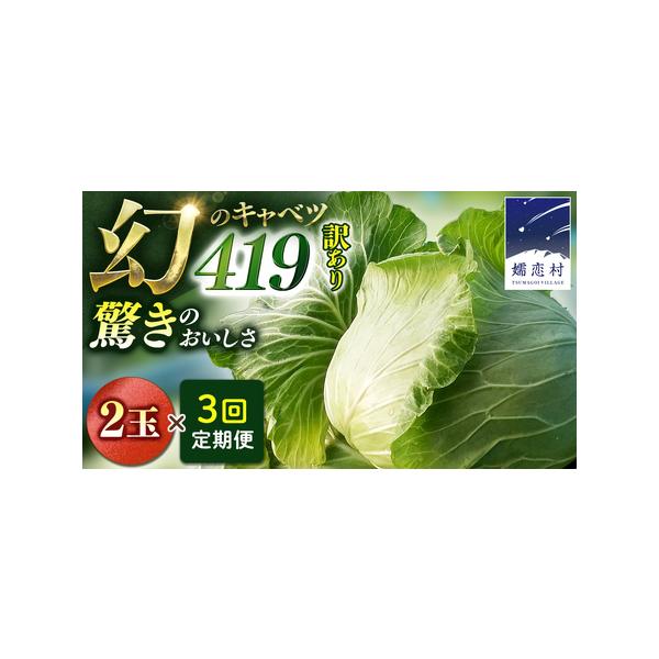 ■ 容量　毎月1回、3ヶ月連続でお届け《合計3回》　訳あり まぼろしの419キャベツ 2玉■ 配送について　2026年発送　1回目：7月　2回目：8月　3回目：9月　※419キャベツの生育状況等により前後する場合があります　※配送日の指定は...