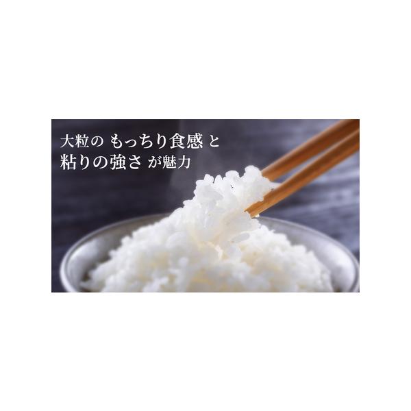 furunavi_1490931_1_d_20260205000632