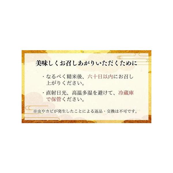 furunavi_1490931_3_d_20260205000632