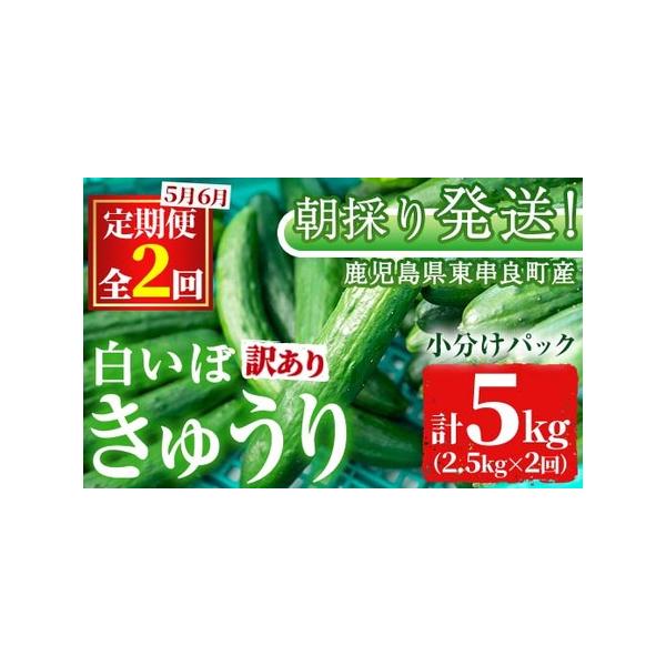 ■ 容量　きゅうり：2.5kg　※サイズランダム　上記を2回■ 配送について　【定期】定期便の発送に基づき発送　タイプ：【常温】【定期】