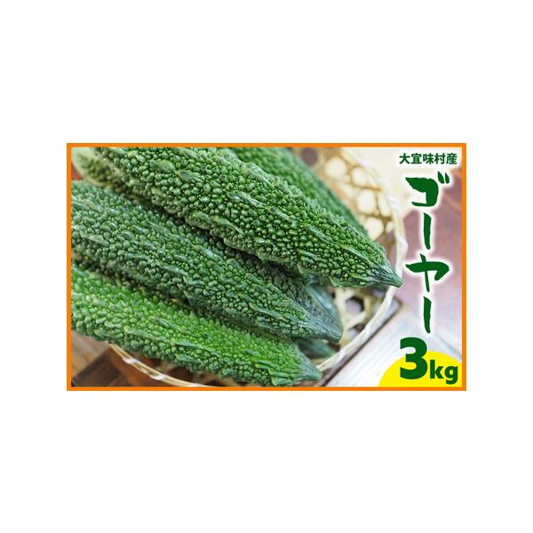 ■ 容量　ゴーヤー3kg以上　(約12本）■ 配送について　2025年11月上旬〜2026年5月中旬まで ※栽培状況により多少異なる場合がございます。　　タイプ：【常温】