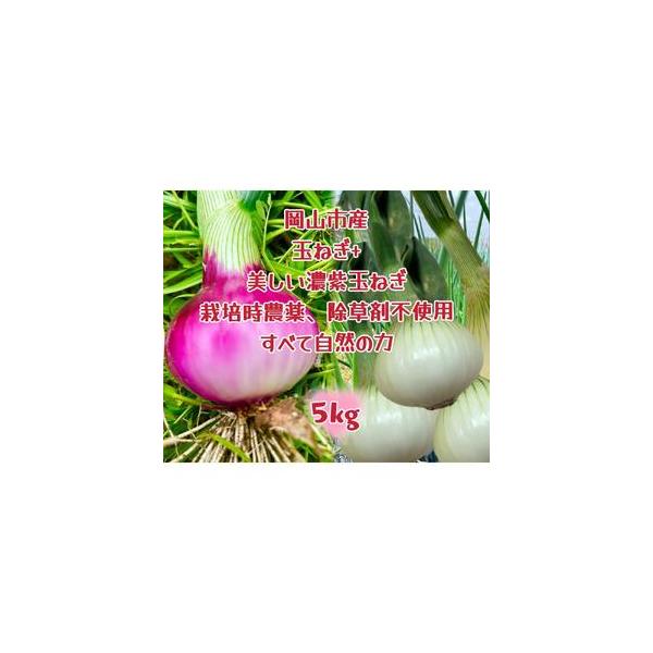 ■ 容量　玉ねぎ2.5kgと赤玉ねぎ2.5kg（サイズ混合）　岡山市内産（5条8号ハ）　産地（都道府県）：岡山　製造者：百合アグリファーム　【賞味期限】　発送日から 約2週間　【保存方法】　※常温保存の場合は、新聞紙やペーパータオルで包んで...