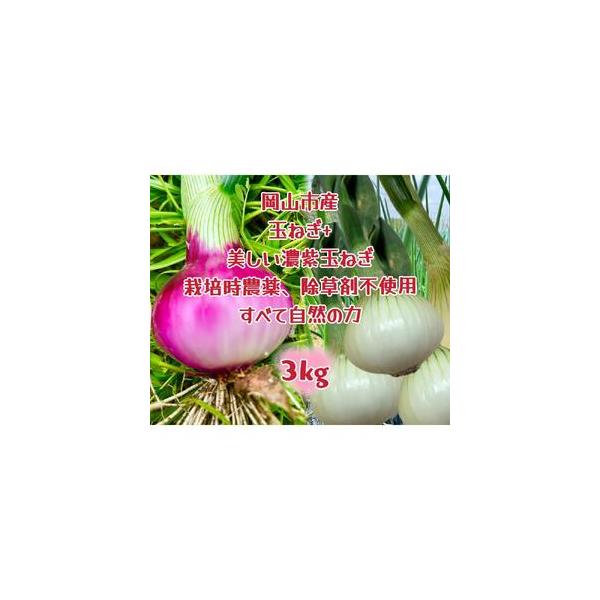 ■ 容量　玉ねぎ1.5kgと赤玉ねぎ1.5k（サイズ混合）　岡山市内産（5条8号ハ）　産地（都道府県）：岡山　製造者：百合アグリファーム　【賞味期限】　発送日から 約2週間　【保存方法】　※常温保存の場合は、新聞紙やペーパータオルで包んで直...