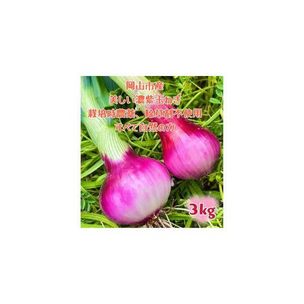 ■ 容量　赤紫玉ねぎ3kg(サイズ混合)　岡山市内産（5条8号ハ）　産地（都道府県）：岡山　製造者：百合アグリファーム　【賞味期限】　発送日から 約2週間　【保存方法】　※常温保存の場合は、新聞紙やペーパータオルで包んで直射日光のあたらない...