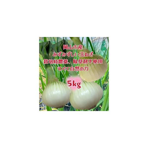 ■ 容量　玉ねぎ5kg(サイズ混合)　岡山市内産（5条8号ハ）　産地（都道府県）：岡山　製造者：百合アグリファーム　【賞味期限】　発送日から 約2週間　【保存方法】　※常温保存の場合は、新聞紙やペーパータオルで包んで直射日光のあたらない風通...