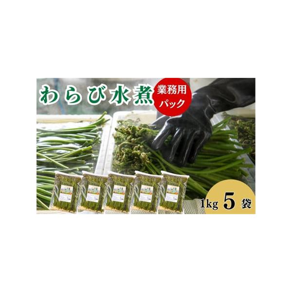 ■ 容量　わらびの水煮　業務用１kg× ５袋　＜原材料＞　わらび、食塩、亜鉛含有酵母エキス、ｐｈ調整剤、酸化防止剤（ビタミンC、フェルラ酸）　＜産地＞西和賀産■ 配送について　決済から14日前後で発送　タイプ：【冷蔵】