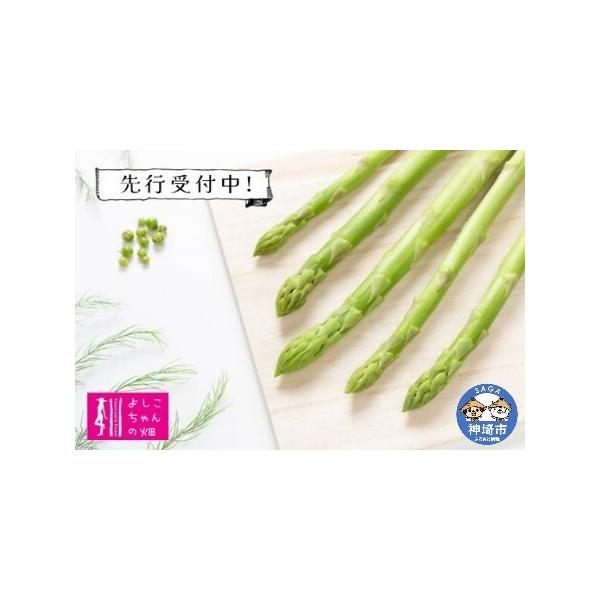■ 容量　【内容量】　アスパラガス1.2kg(混合)　【消費期限】　発送日より5日■ 配送について　【発送時期】　決済完了順に令和8年3月1日〜令和8年5月31日の期間で発送いたします　※天候等により発送が遅れる場合があります。　※受付期間...