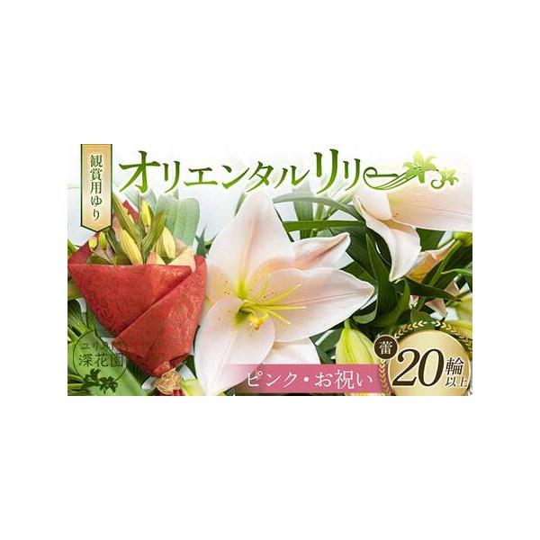 ■ 容量　観賞用ゆり オリエンタルリリー ＜ピンク・お祝い＞ 20輪以上■ 配送について　決済から5日前後で発送　タイプ：【常温】