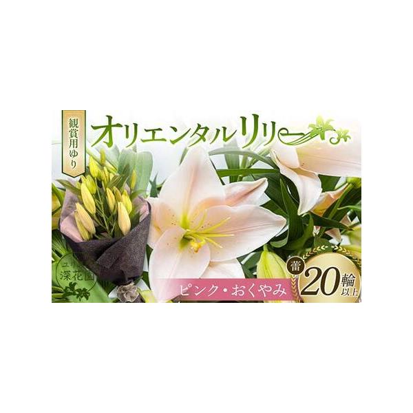 ■ 容量　観賞用ゆり オリエンタルリリー ＜ピンク・おくやみ＞ 20輪以上■ 配送について　決済から5日前後で発送　タイプ：【常温】