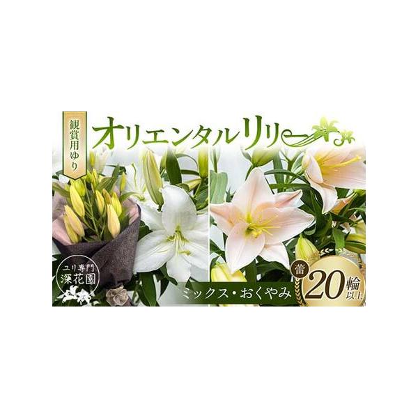 ■ 容量　観賞用ゆり オリエンタルリリー ＜ミックス・おくやみ＞ 20輪以上■ 配送について　決済から5日前後で発送　タイプ：【常温】