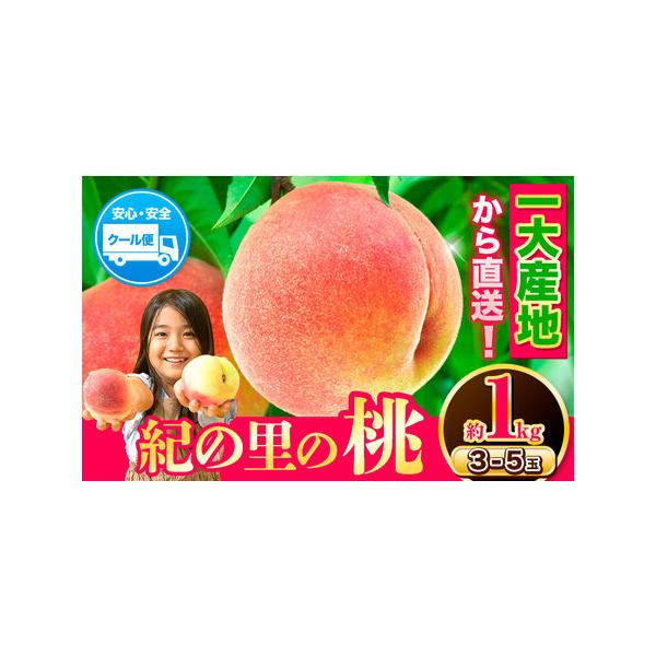 ■ 容量　約1kg(3-5玉入り)■ 配送について　2026年6月中旬-8月中旬頃出荷　配送不可エリア　伊豆諸島・青ヶ島村・利島村・御蔵島村・式根島・小笠原諸島・小笠原村　タイプ：【冷蔵】