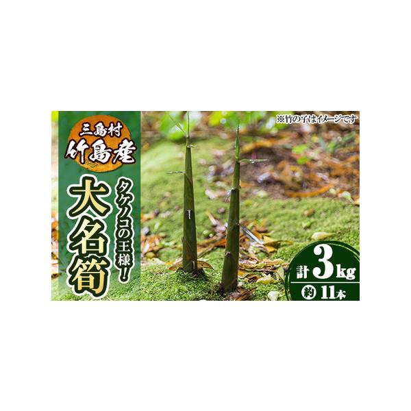 ■ 容量　《竹島産》大名筍(3kg・約11本)　※収穫物のため本数にばらつきが出ることがあります。■ 配送について　2026年5月初旬以降順次発送予定　配送日時の指定は出来かねますので、ご了承くださいませ。　※申込み多数の場合は、発送が遅れ...