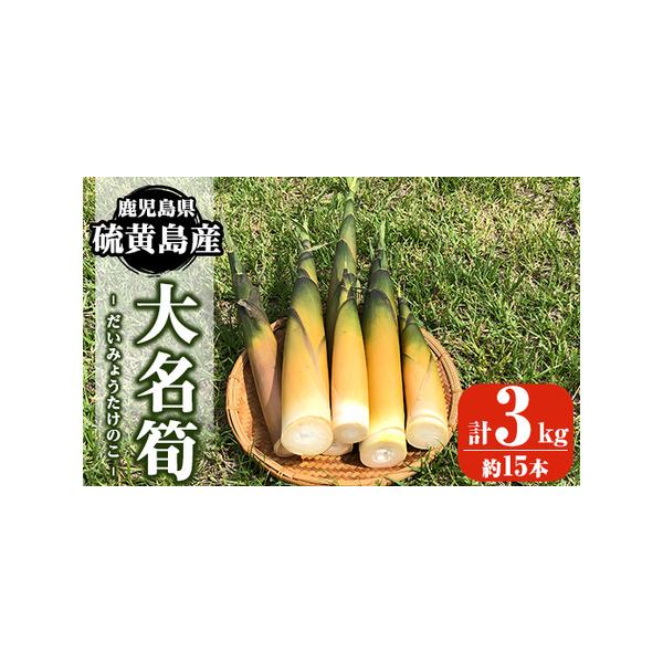 ■ 容量　《硫黄島産》大名筍3kg（約15本）　※収穫物のため本数にばらつきが出ることがあります。■ 配送について　2026年5月初旬以降順次発送予定　配送日時の指定は出来かねますので、ご了承くださいませ。　※お申込みが集中した場合や、年末...