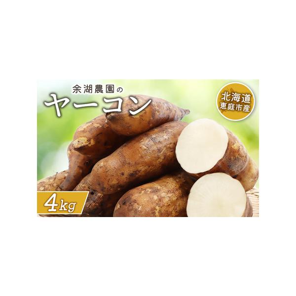 ■ 容量　ヤーコン ４ｋｇ■ 配送について　2025年11月〜2026年３月31日まで発送いたします。　タイプ：【冷蔵】