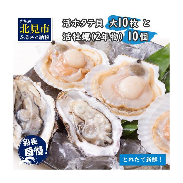 【ふるさと納税】【予約：2026年11月中旬から順次発送】活ホタテ貝 大 10枚・活牡蠣 2年物 10個 ( 海鮮 魚介 貝 帆立 ほたて ホタテ カキ かき 牡蠣 セット BBQ )
