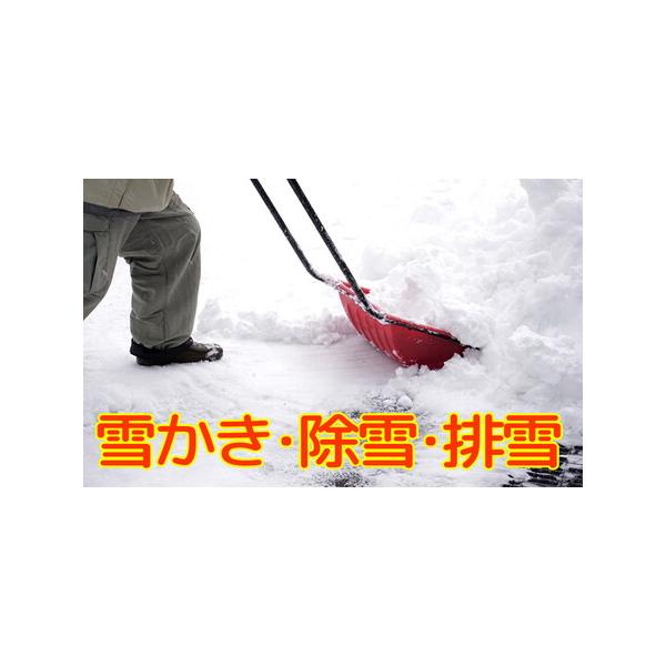 ■ 容量　敷地内の雪かき排雪をします。排雪は軽トラック１台分となります。　降雪時の定期的な雪かき、排雪により、常に快適な生活を維持できます。　実施する日程はご購入後にご相談のうえ、決めさせていただきます。　・作業時間　約2〜3時間　・作業人...