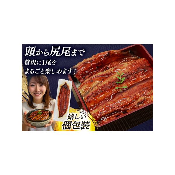 furunavi_1501176_3_d_20250918190645