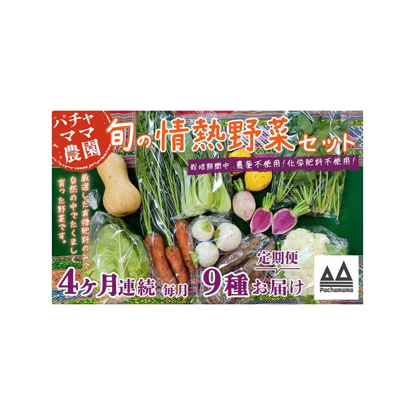■ 容量　旬のお野菜9品のおまかせセット　×4ヶ月連続お届け■ 配送について　ご入金確認後、寄附の翌月から第１回目を発送いたします。　※伊豆諸島（大島・八丈島を除く）及び小笠原村（小笠原諸島）への発送は出来ません。　※お申込み時に「到着日の...