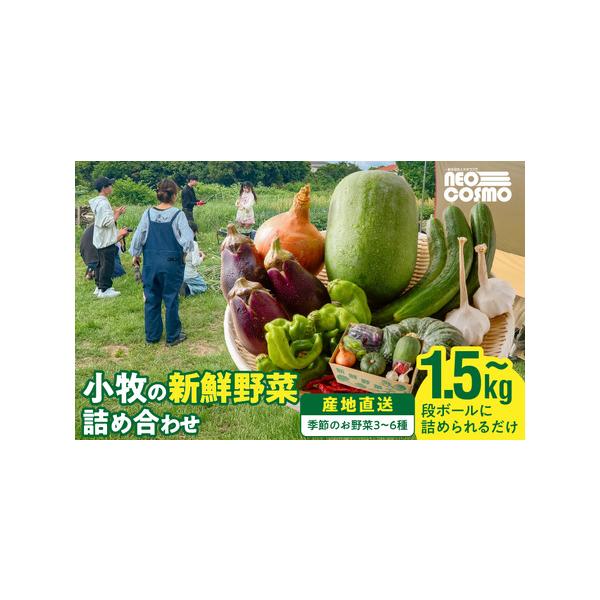 ■ 容量　季節の野菜3〜6種（1.5kg〜）60サイズ段ボールに詰められるだけ■ 配送について　5月〜10月 のお申込み：入金確認から1ヶ月程度で発送します。　11月〜4月 のお申込み：5月以降の発送になります。　タイプ：【常温】